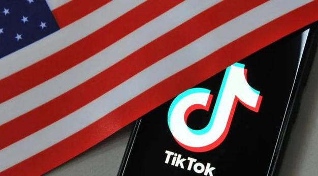 TikTok刷粉社区,标题:揭秘 TikTok 刷粉社区:黑产背后的流量操纵!