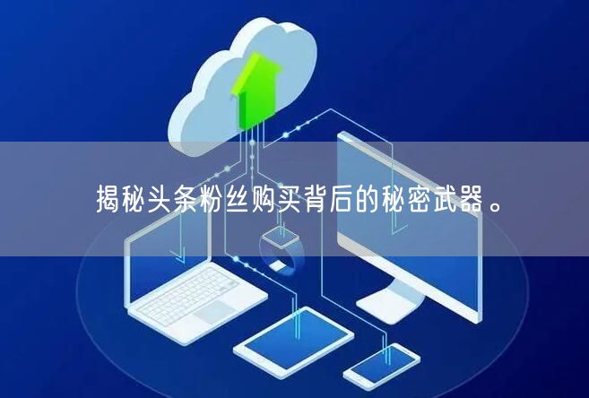 揭秘头条粉丝购买背后的秘密武器。