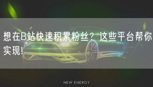 想在B站快速积累粉丝？这些平台帮你实现!