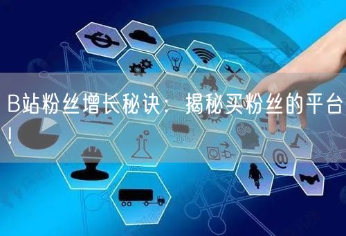 B站粉丝增长秘诀：揭秘买粉丝的平台!