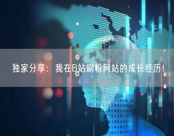 独家分享：我在B站刷粉网站的成长经历！