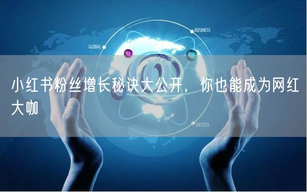 小红书粉丝增长秘诀大公开，你也能成为网红大咖
