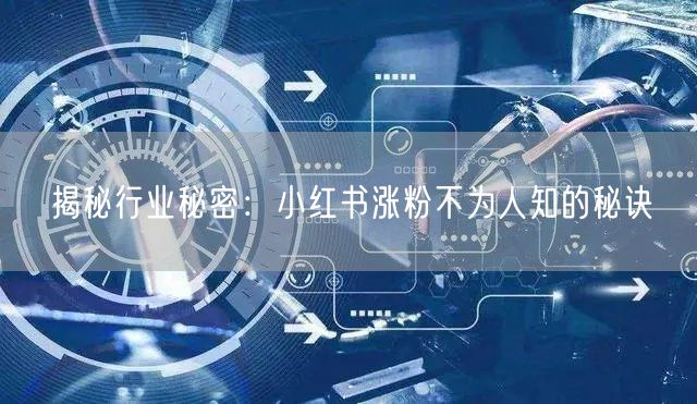 揭秘行业秘密：小红书涨粉不为人知的秘诀