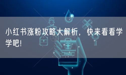 小红书涨粉攻略大解析，快来看看学学吧!