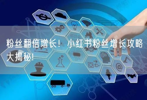 粉丝翻倍增长！小红书粉丝增长攻略大揭秘!