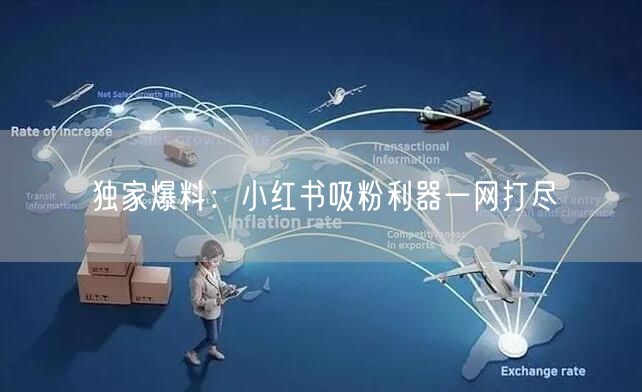 独家爆料：小红书吸粉利器一网打尽