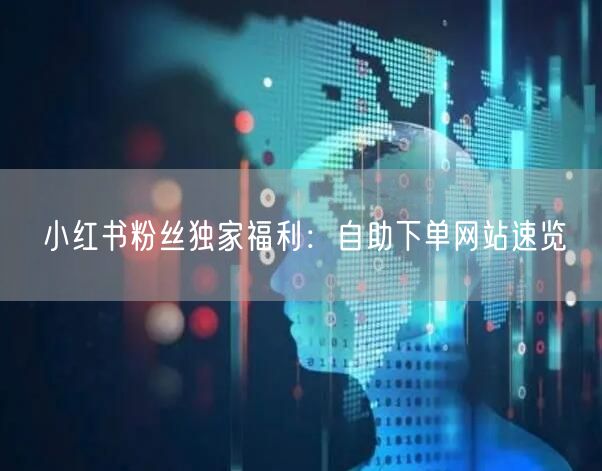 小红书粉丝独家福利：自助下单网站速览
