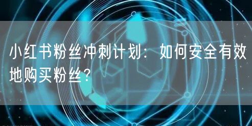 小红书粉丝冲刺计划：如何安全有效地购买粉丝？