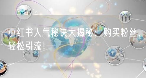小红书人气秘诀大揭秘：购买粉丝，轻松引流！