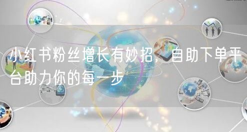 小红书粉丝增长有妙招，自助下单平台助力你的每一步