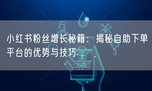 小红书粉丝增长秘籍：揭秘自助下单平台的优势与技巧