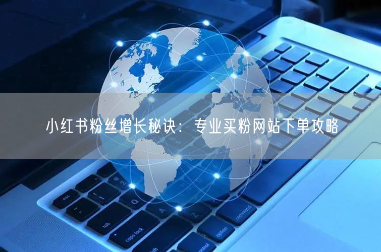 小红书粉丝增长秘诀：专业买粉网站下单攻略
