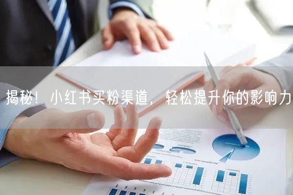 揭秘！小红书买粉渠道，轻松提升你的影响力