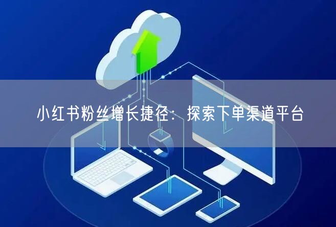 小红书粉丝增长捷径：探索下单渠道平台