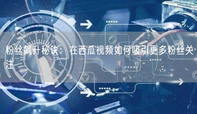 粉丝飙升秘诀：在西瓜视频如何吸引更多粉丝关注