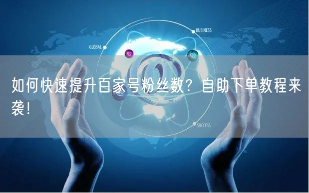如何快速提升百家号粉丝数？自助下单教程来袭！
