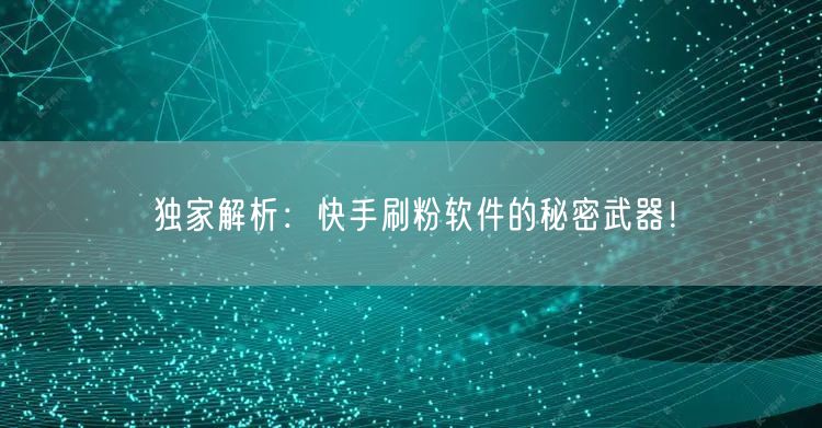 独家解析：快手刷粉软件的秘密武器！