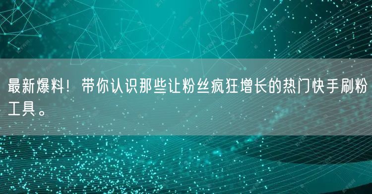 最新爆料！带你认识那些让粉丝疯狂增长的热门快手刷粉工具。